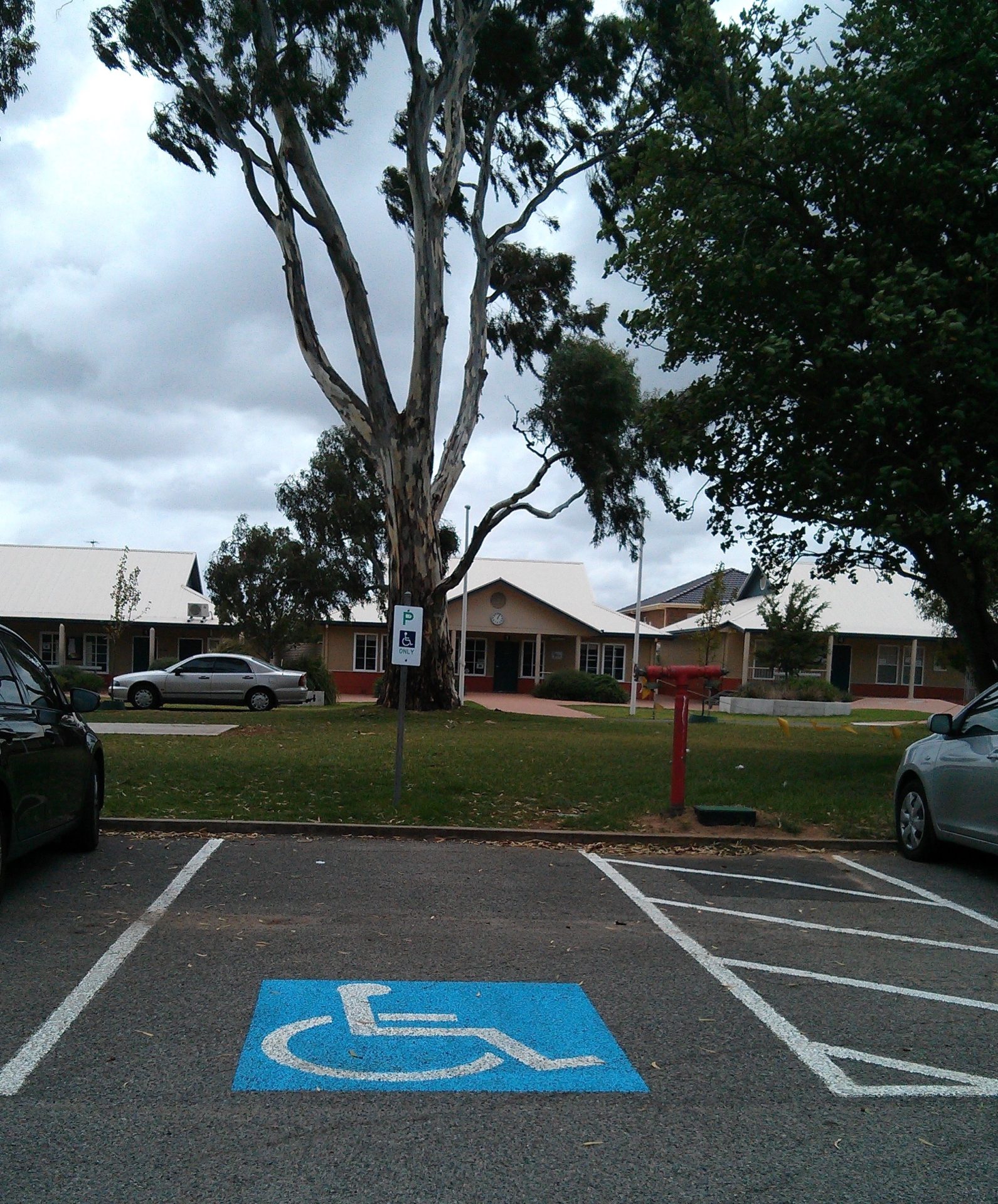 the accessible car park at cedar college is near the site of the fallen tree