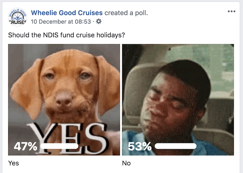 Should the NDIS fund cruise holidays? is the question with a dog being the yes vote and a black man being the no vote