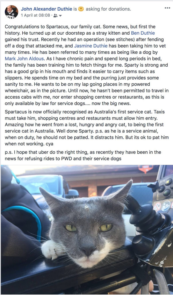 The facebook post of mine on 1 April reads "Congratulations to Spartacus, our family cat. Some news, but first the history. He turned up at our doorstep as a stray kitten and Ben Duthie gained his trust. Recently he had an operation (see stitches) after fending off a dog that attacked me, and Jasmine Duthie has been taking him to vet many times. He has been referred to many times as being like a dog by Mark John Aldous. As I have chronic pain and spend long periods in bed, the family has been training him to fetch things for me. Sparty is strong and has a good grip in his mouth and finds it easier to carry items such as slippers. He spends time on my bed and the purring just provides some sanity to me. He wants to be on my lap going places in my powered wheelchair, as in the picture. Until now, he hasn't been permitted to travel in access cabs with me, nor enter shopping centres or restaurants, as this is only available by law for service dogs.... now the big news. Spartacus is now officially recognised as Australia's first service cat. Taxis must take him, shopping centres and restaurants must allow him entry. Amazing how he went from a lost, hungry and angry cat, to being the first service cat in Australia. Well done Sparty. p.s. as he is a service animal, when on duty, he should not be patted. It distracts him. But its ok to pat him when not working. cya p.s. I hope that uber do the right thing, as recently they have been in the news for refusing rides to PWD and their service dogs"