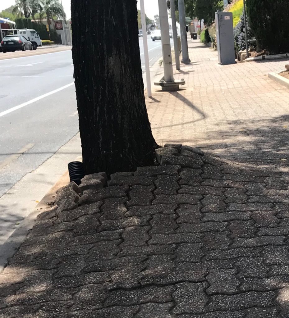 From the left to the right 1) a main road 2) a wide tree with pavers pushed up about 20 centimetres 3) the pavement that has 1/3 of the width with pavers pushed into the air