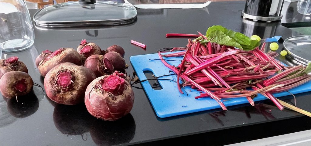 pickling beetroot - the beets with the stalks chopped off and ready for boiling