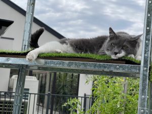 Build a cat tower and have your cat as happy and relaxed as Spartacus